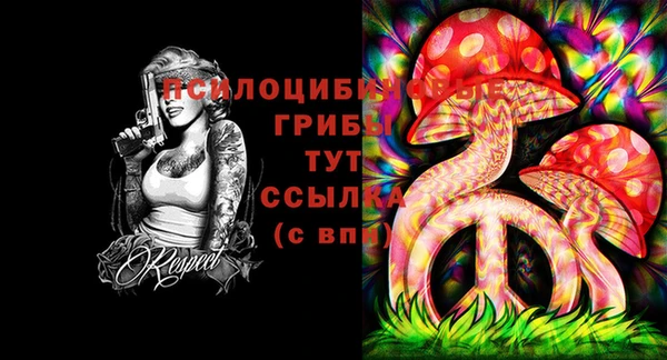 марки lsd Белокуриха